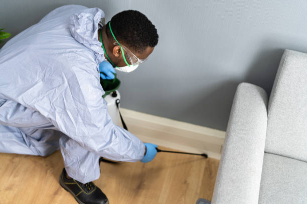 Best Indoor Pest Control  in Meadow Vista, CA